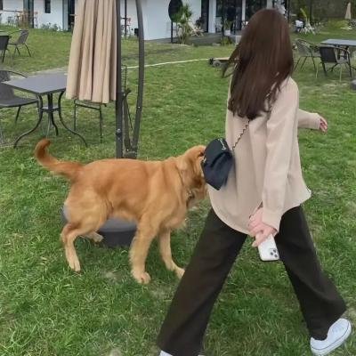 吉普赛女王
